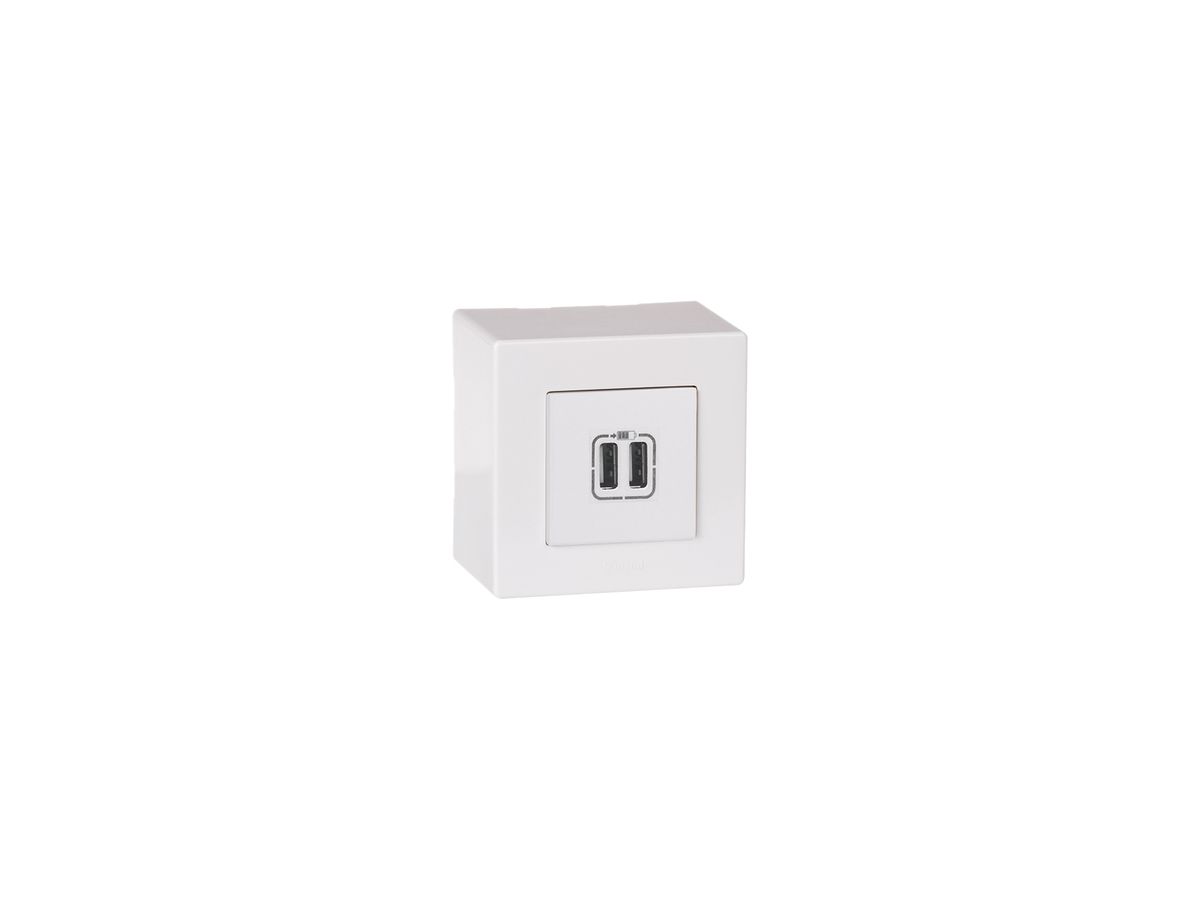 AP-Ladesteckdose USB ATO 2 Module, 2-fach weiss