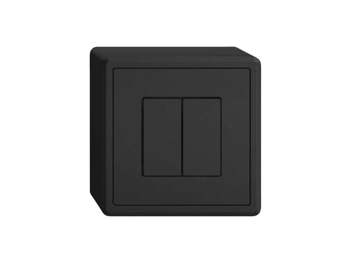 AP-Druckschalter EDIZIO.liv Wiser SNAPFIX® m.Nebenstelle 2T 2B schwarz