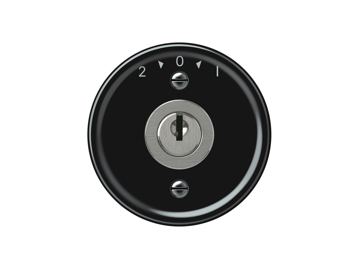 Schwenktaster origin mit Zylinder 1P 2>0<1 10A 230V 60×60mm schwarz