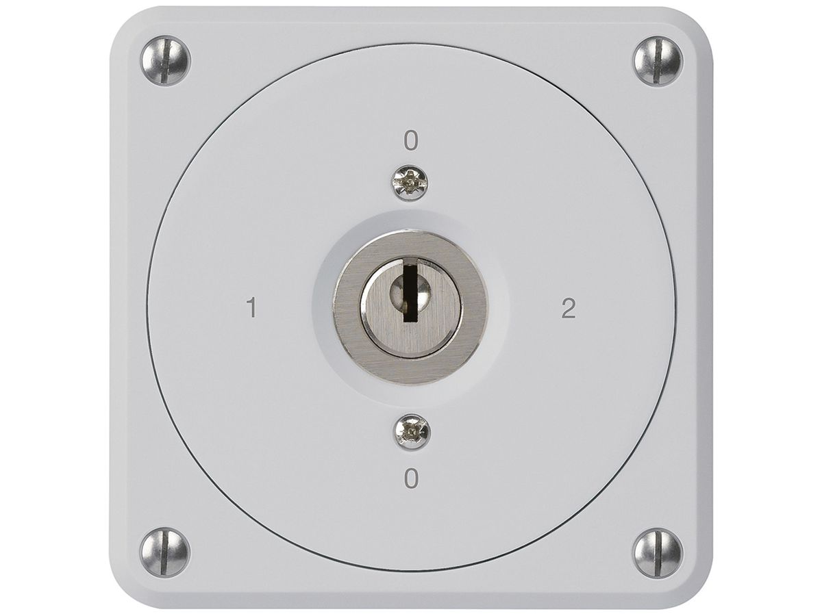 UP-Schlüsselschalter robusto ohne Klappdeckel 2/1P grau für Kombination