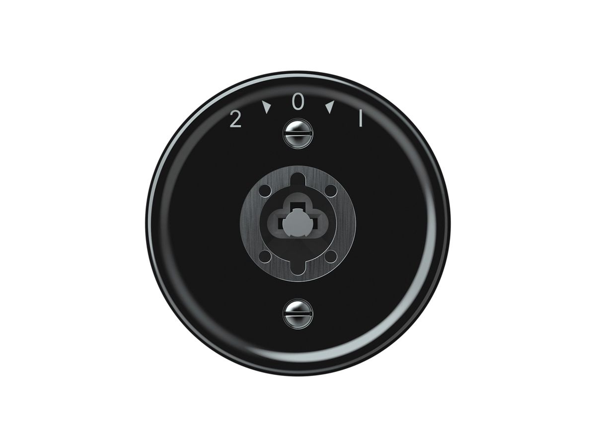 Schwenktaster origin ohne Zylinder 1P 2>0<1 10A 230V 60×60mm schwarz