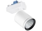 LED-Spot StyliD Evo ST780S für Schiene 930 4900lm 20° weiss