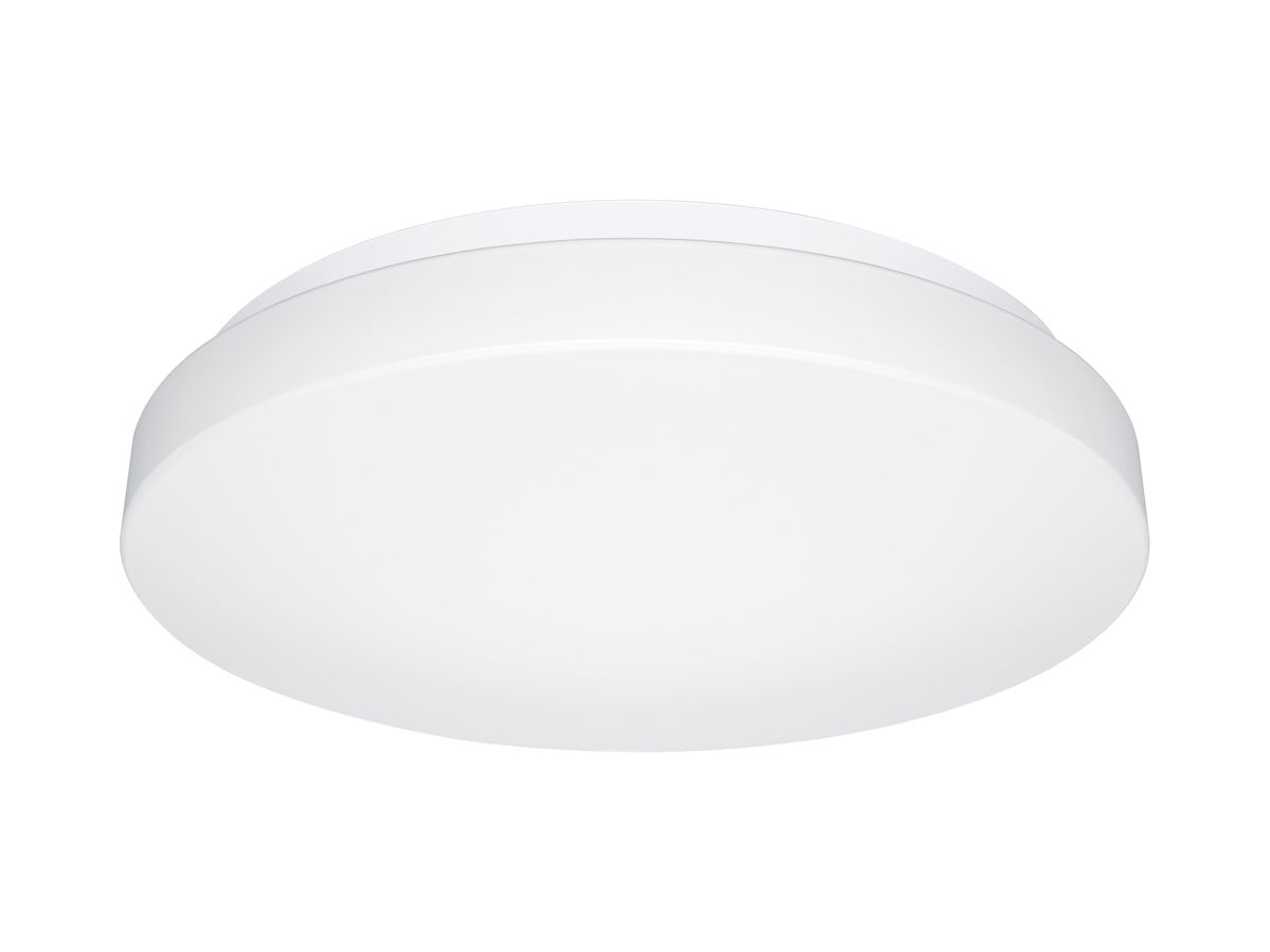 LED-Decken-/Wandleuchte Steinel RS PRO P1 flat HF Ø272mm 9.5W 1010lm 840 IP54