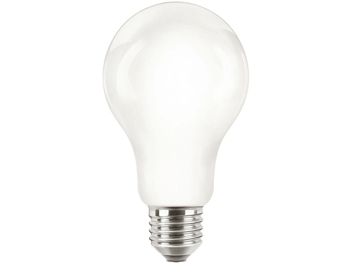 LED-Lampe CorePro Bulb E27 A67 120W 230V 4000K 2000lm, opal