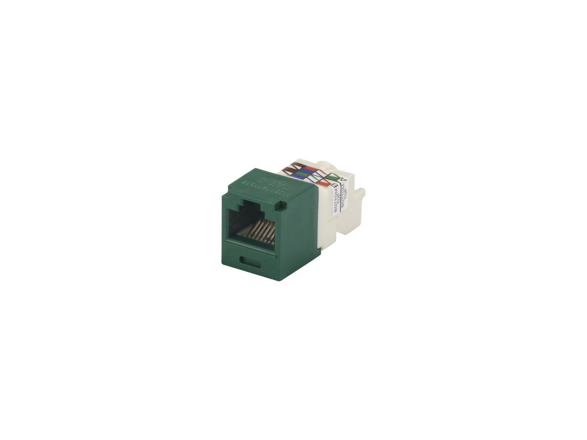 Buchse RJ45 Panduit Mini-Jack grün