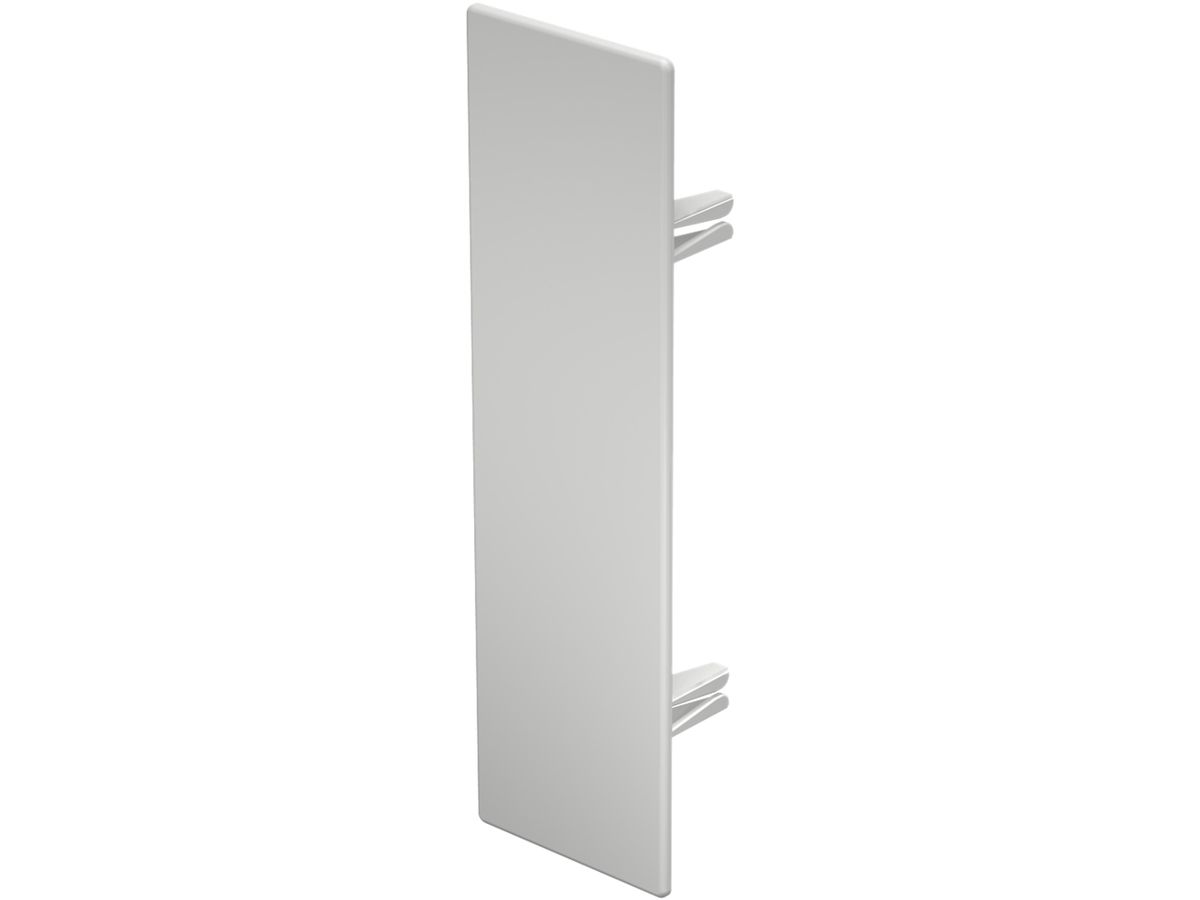 Abschlussplatte Bettermann zu Installationskanal WDK reinweiss 60×210mm