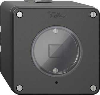 AP-Nebenstelle 1K/1T zu Druckschalter NEVO Wiser schwarz