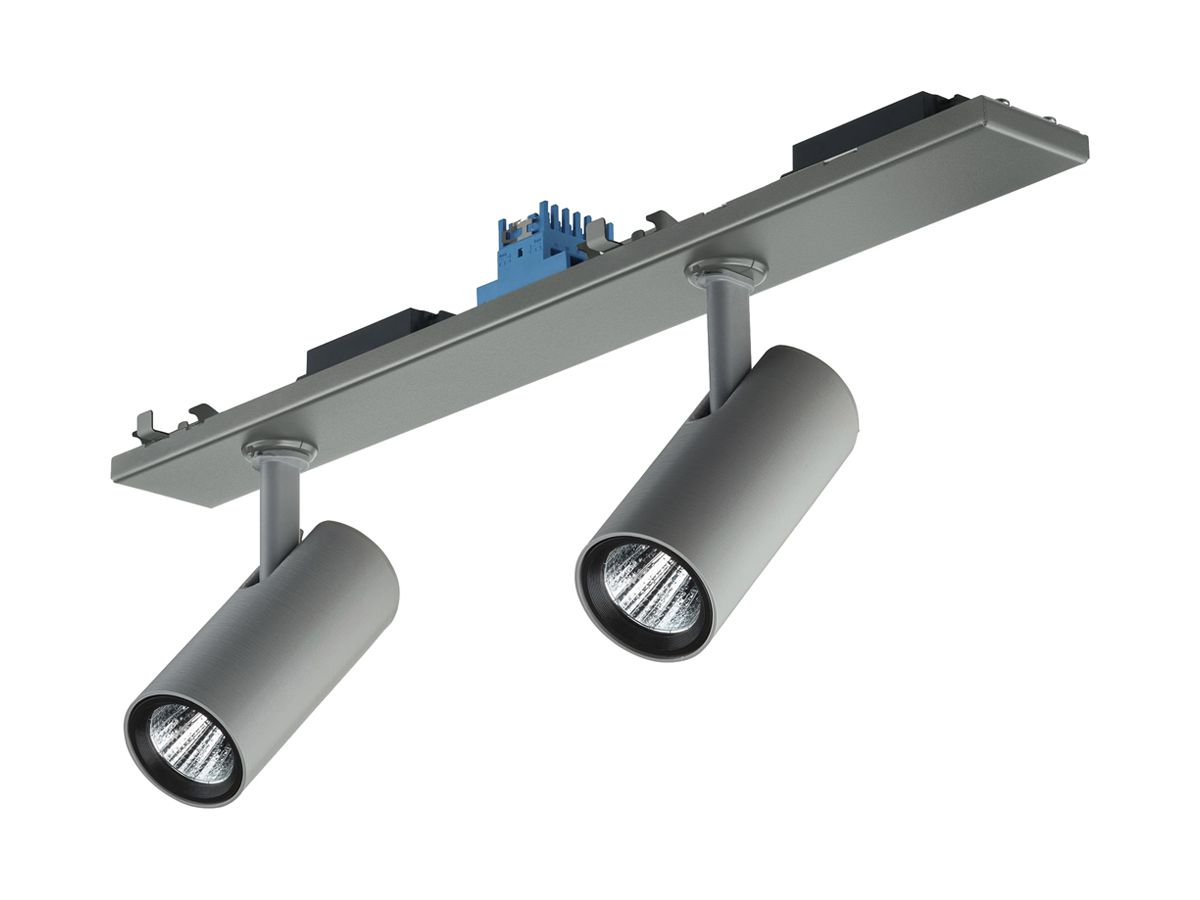 LED-Spot Philips GreenSpace Evo Mini 2×22.2W 5384lm 840 MB DALI Ø65×568 grau