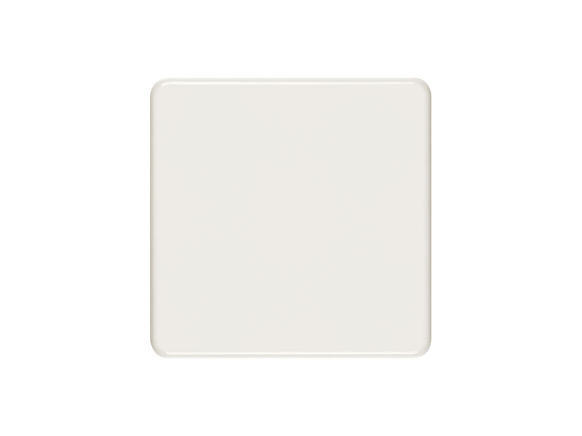 Abdeckplatte III blind weiss