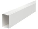 Installationskanal Bettermann LKM 100×64×2000mm Stahl reinweiss
