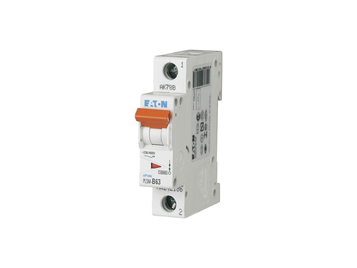 Leitungsschutzschalter ETN 63A 1P, D, 10kA