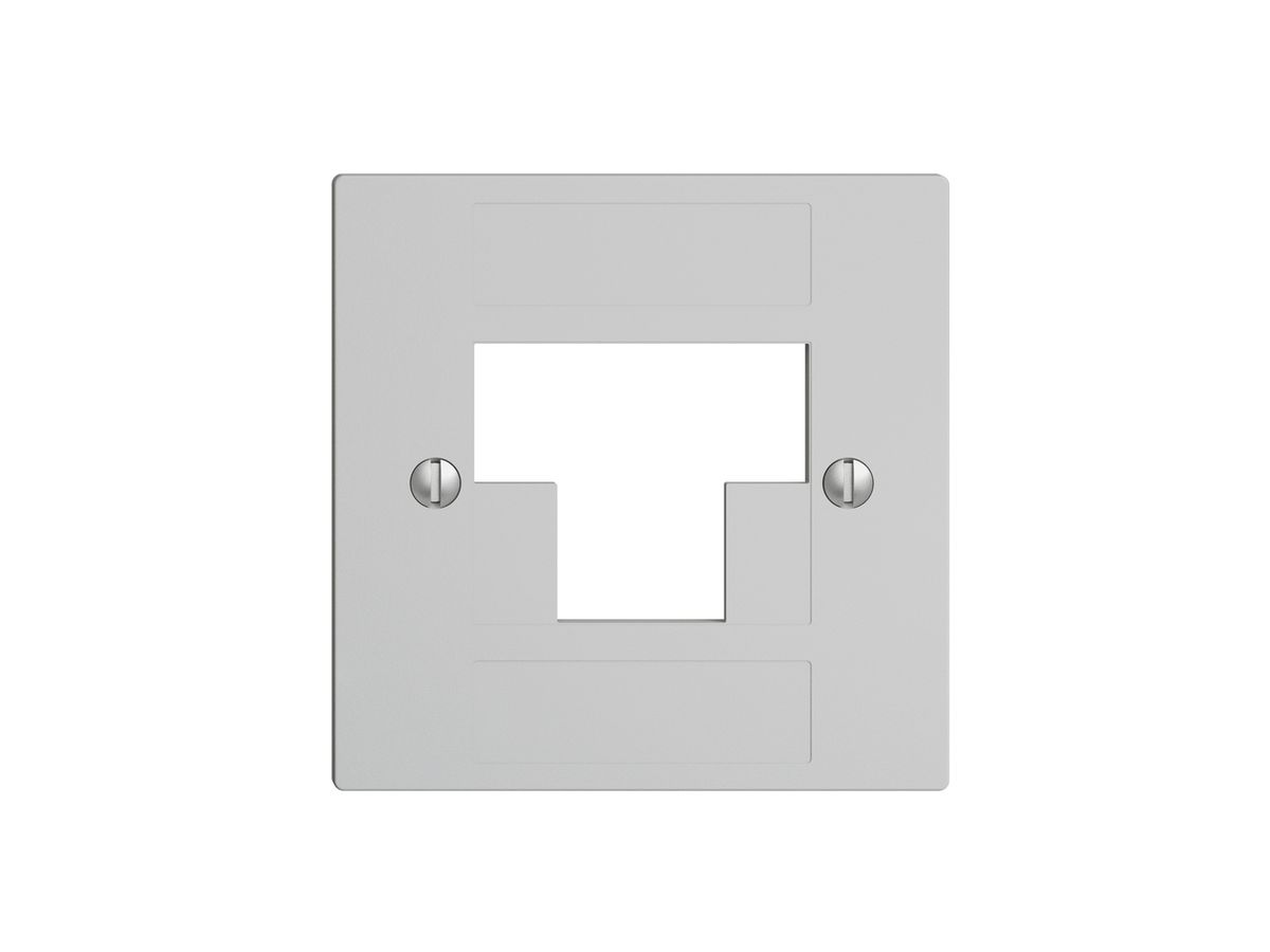 Frontplatte 2×RJ45 ITplus EDIZIOdue hellgrau