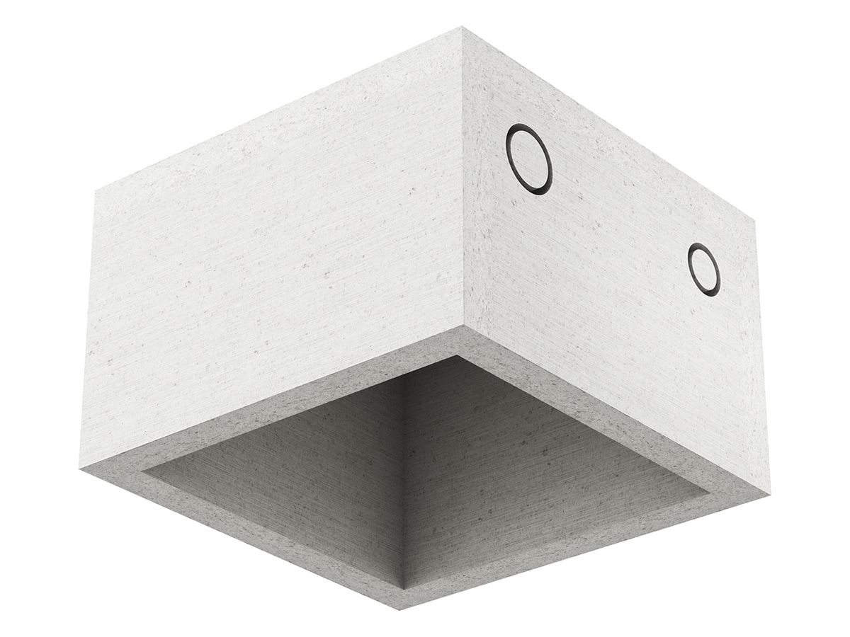 EB-Gehäuse AGRO ThermoX Lite 170×170×110mm