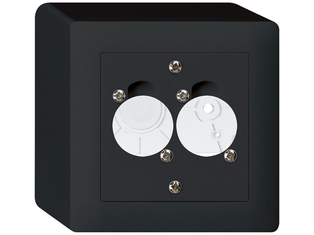AP-Montageset für 2 XLR schwarz kallysto
