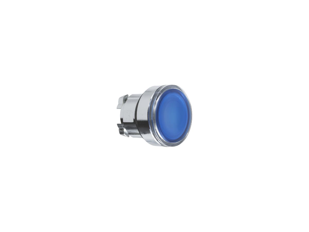 Antriebskopf Schneider Electric für Leuchttaster blau