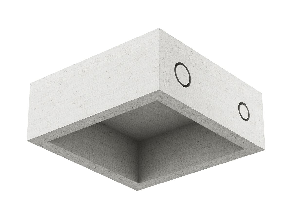 EB-Gehäuse AGRO ThermoX Lite 170×170×65mm