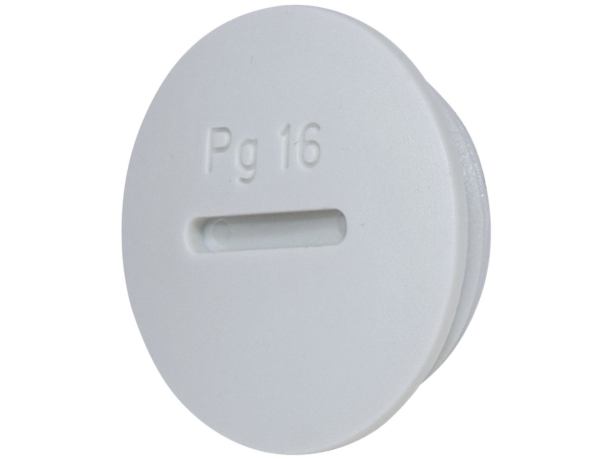 Verschlussstopfen Plica PS PG11 grau