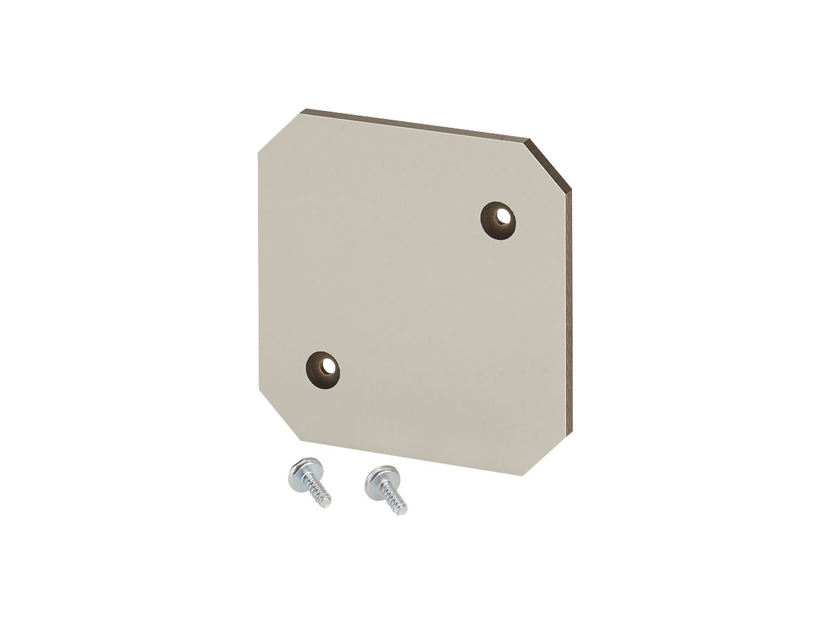 Montageplatte Hensel, Isolierstoff 4mm stark, für Leergehäuse EB 04…
