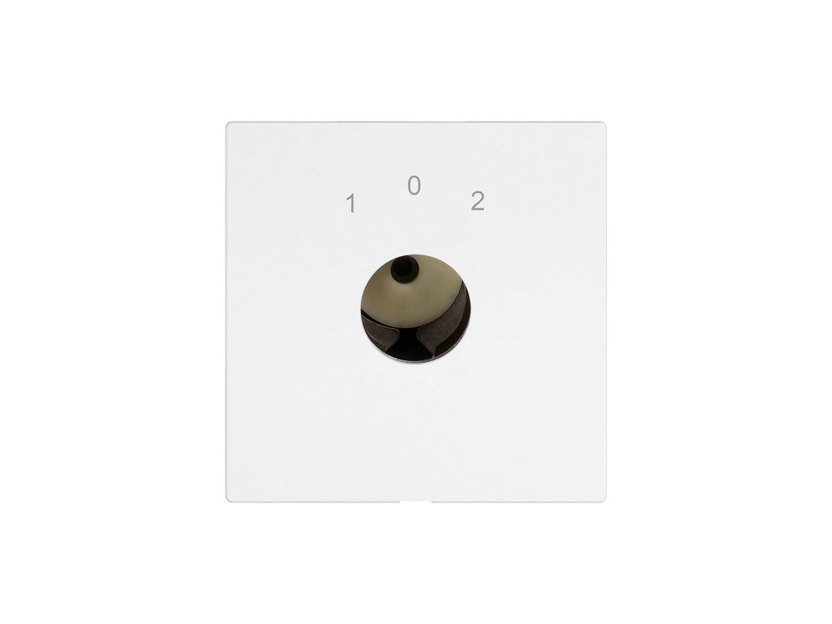 Schlüsselschalter EDIZIO.liv f.KABA 1514 m.2×Rückz.getr.Kont.2P 1-0-2 T=77mm ws