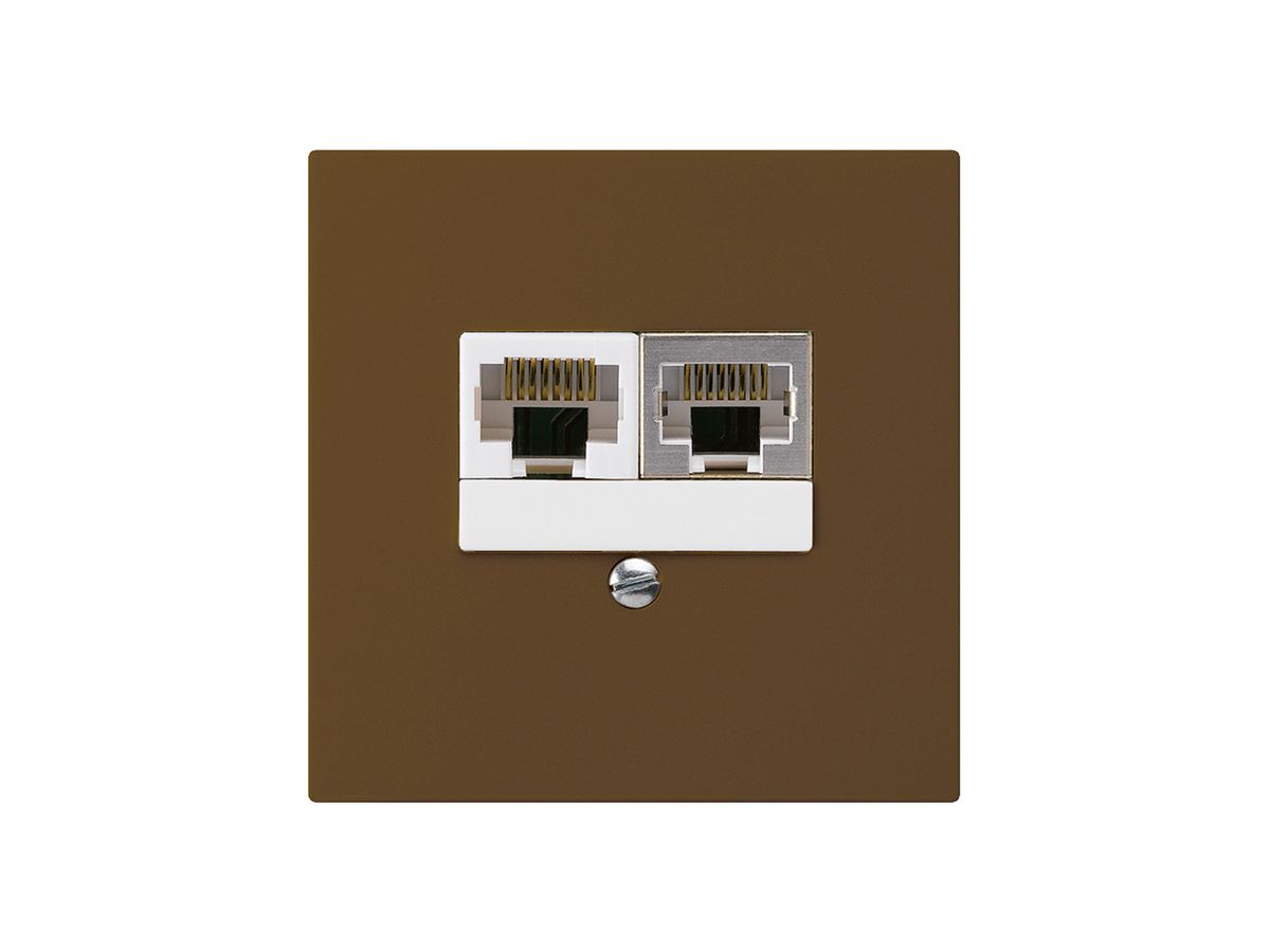 UP-Dose kallysto 2×RJ45s+u getrennt braun