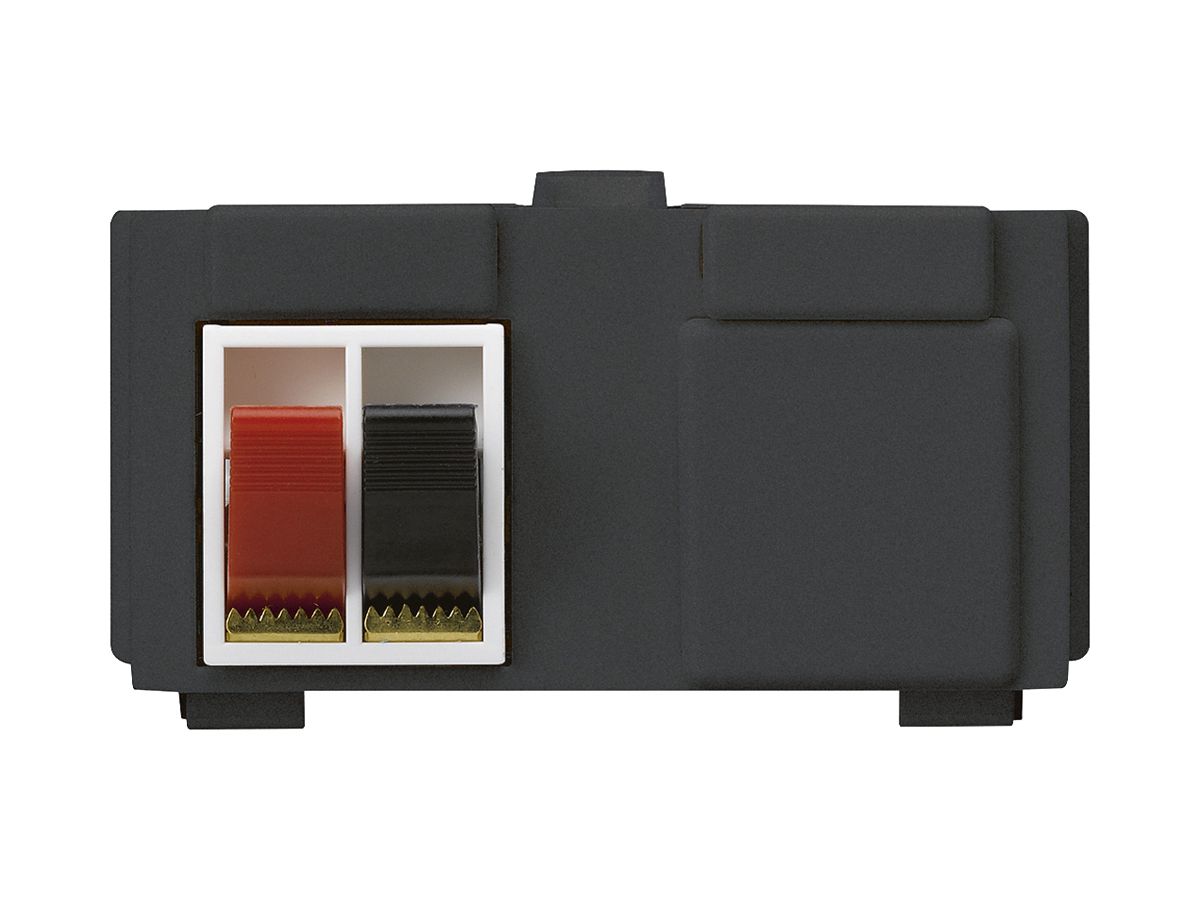 Multimedia-Modul M3 mit 2×LS-Klemme rot/schwarz kallysto schwarz