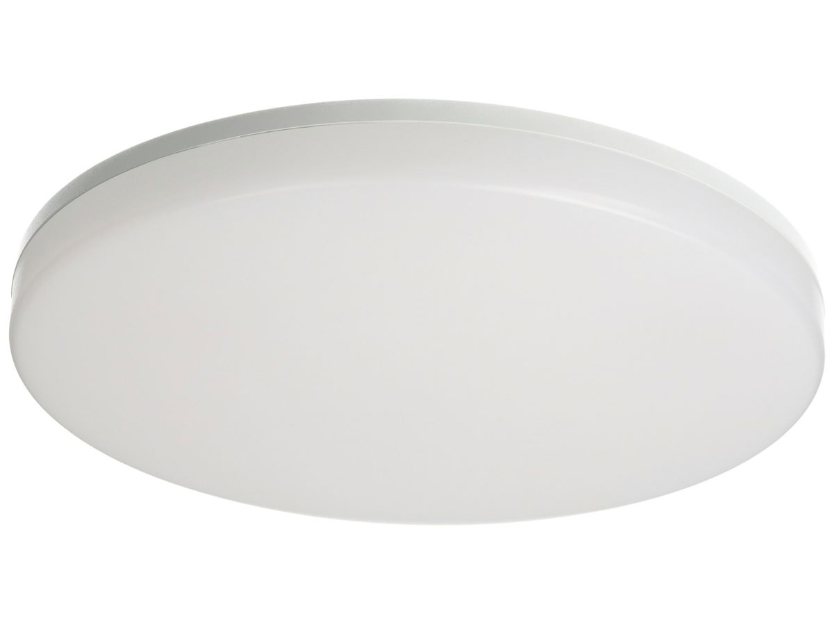LED-Decken-/Wandleuchte MAX HAURI FLAT CCT 33 HF M/S 25W 3000/4000K IP54 ws