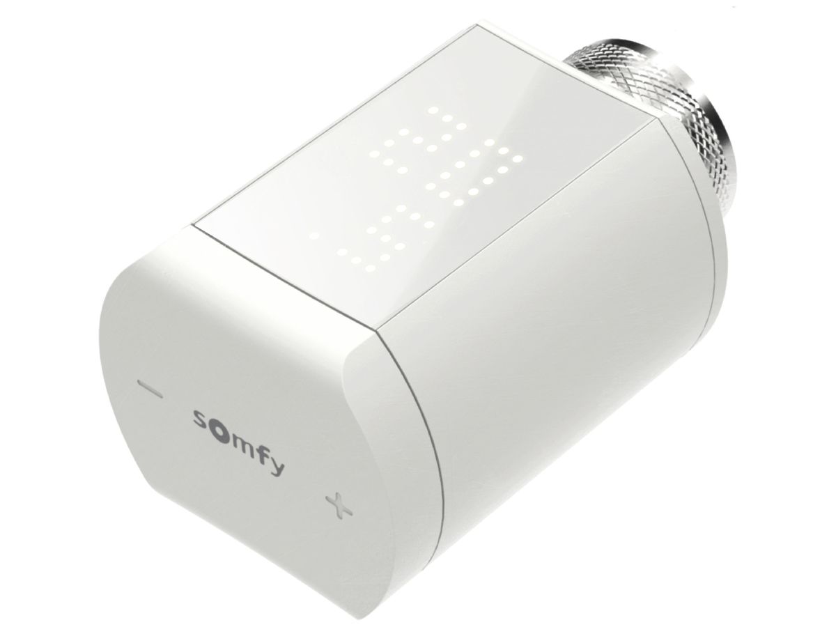 RF-Stellantrieb Somfy TaHoma io, batteriebetrieben, M28/M30×1.5, weiss