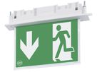 EB-LED-Rettungszeichenleuchte AWKS-E-013-AT 4.6W 295×220×70mm 3h