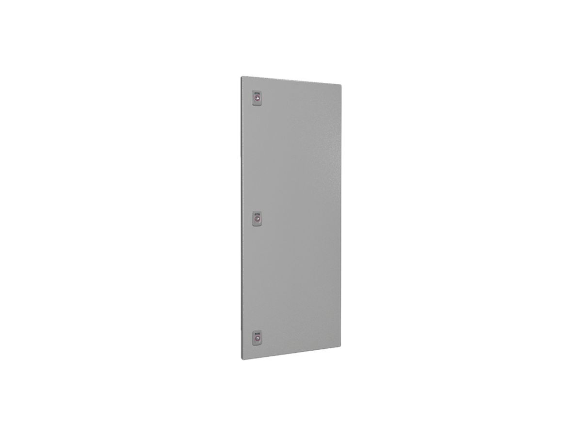 Tür Rittal SV 9682.140 400×1000mm für VX grau IP54