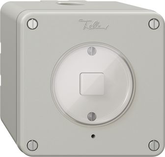 AP-Nebenstelle 1K/1T zu Druckschalter NEVO Wiser lichtgrau