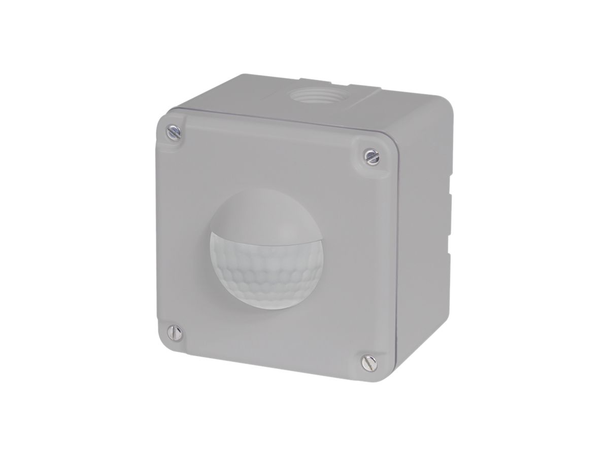 NAP-Präsenzmelder Luxomat PD2 S 180 12…48V, lichtgrau