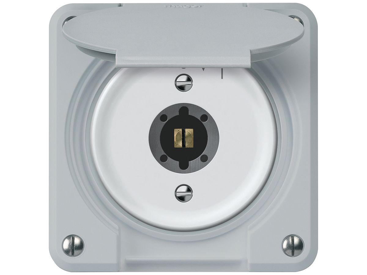 Schlüsselschwenktaster robusto 2P 2NO 20A 250V 86×86mm grau