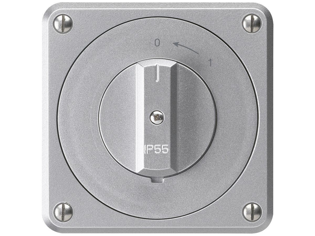 UP-Schwenktaster robusto IP55 aluminium 1P für Kombination