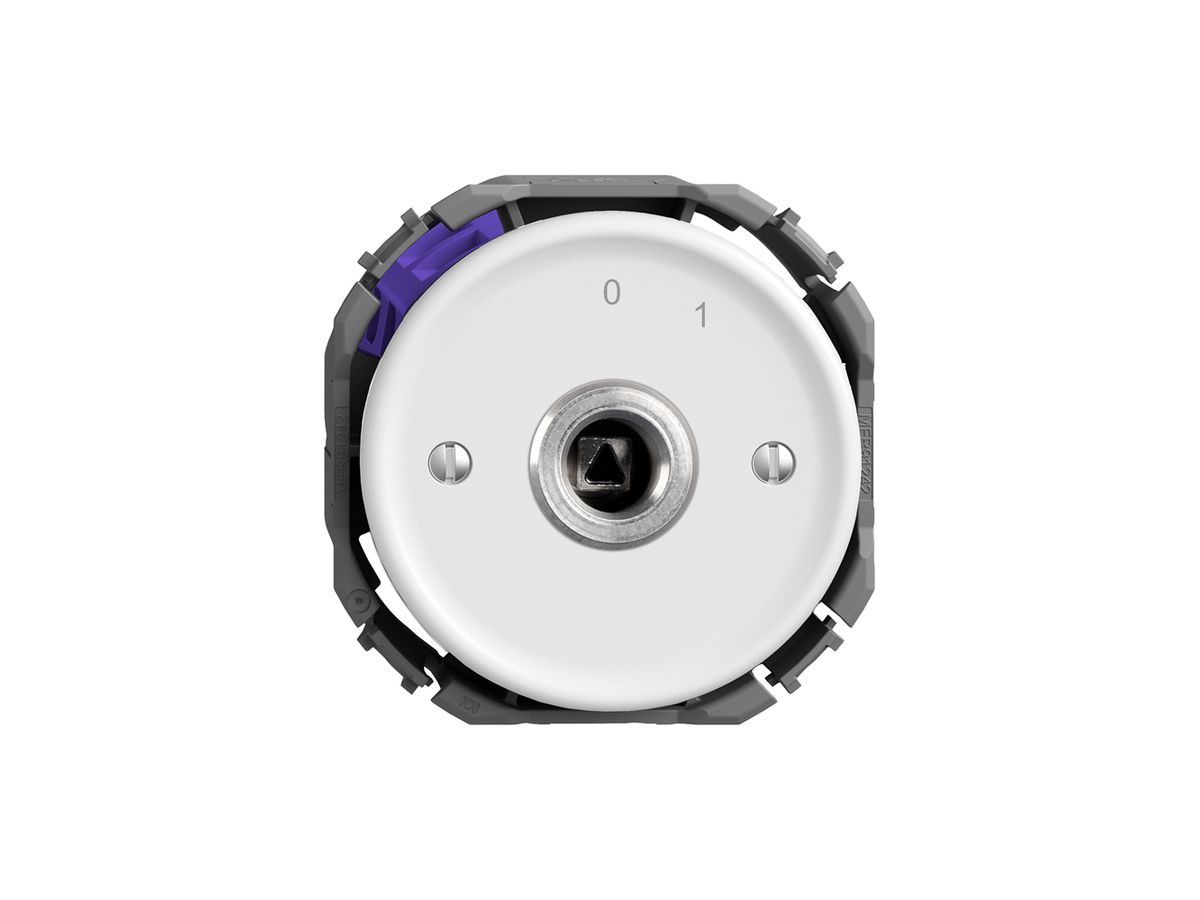 Schlüsselschalter STANDARDdue 1P Vierkant/Dreieck 20A 690V 0-1 Rückzug ws