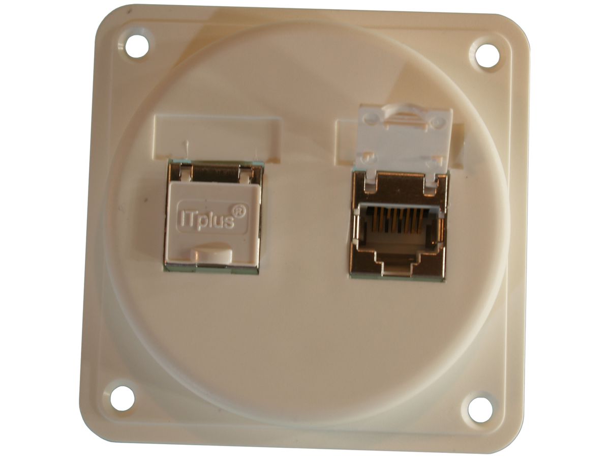 Dose Kat.6 IK 2f.2RJ45/s weiss