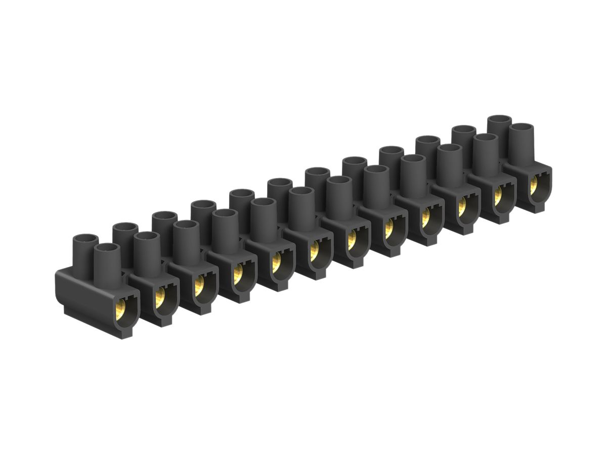 Klemmenleiste Bettermann 12P 25mm² 750V schwarz