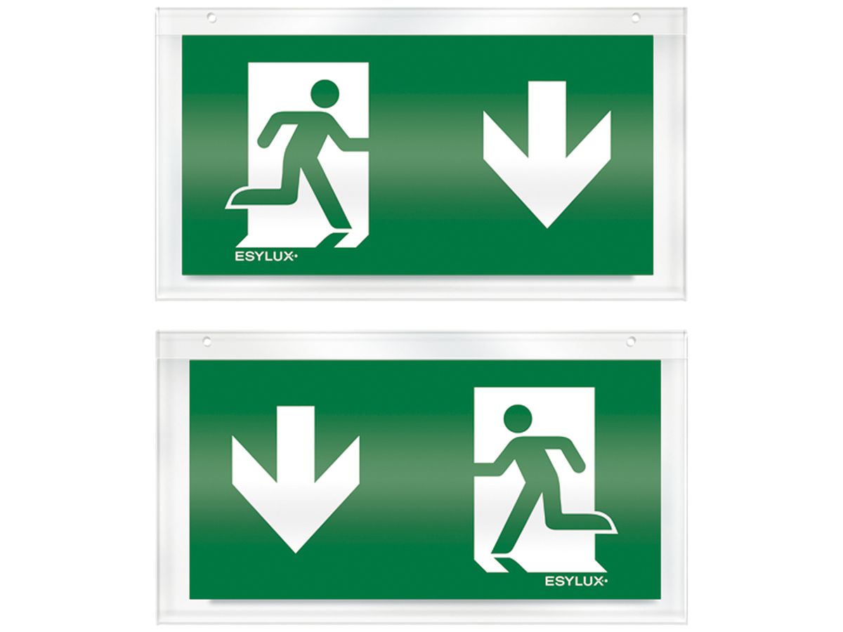 Piktogramm-Scheibe ESYLUX für SLX zweiseitig Pfeil unten/unten