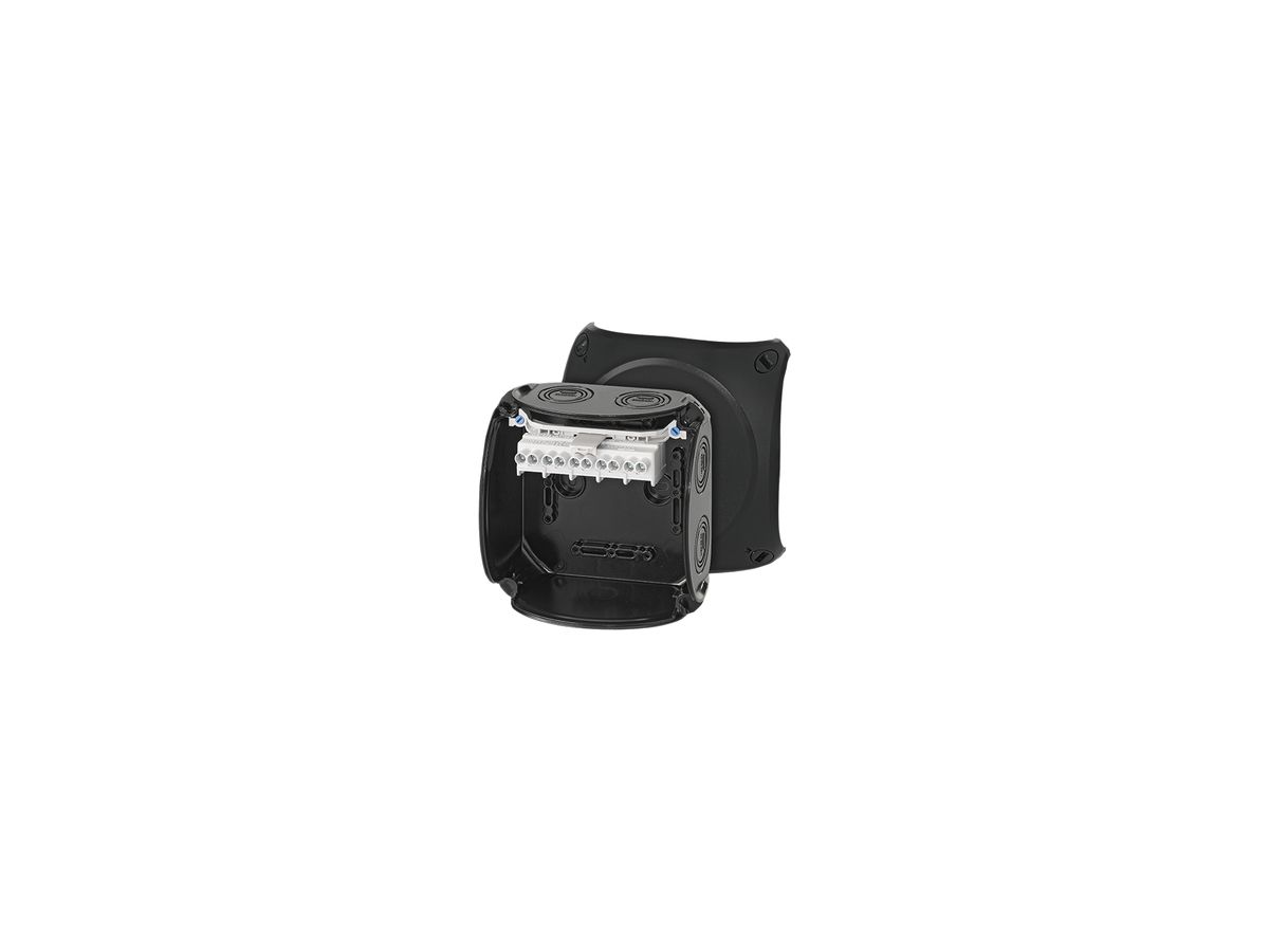 AP-Abzweigdose Hensel KF B mit Klemmen 5×6mm² schwarz