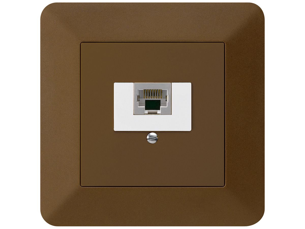 UP-Dose kallysto.trend 1×RJ45s braun