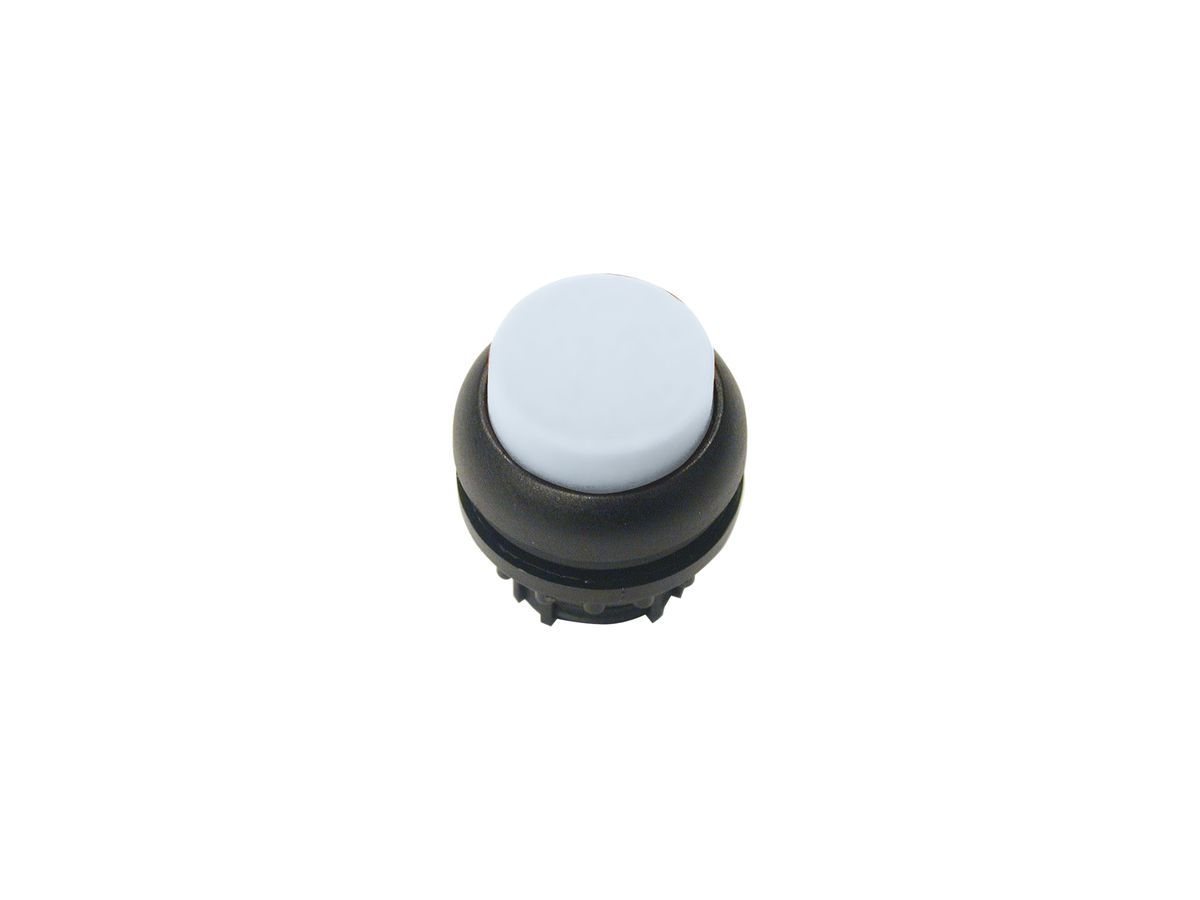 Leucht-Drucktaste ETN RMQ hoch weiss, rastend, Ring schwarz