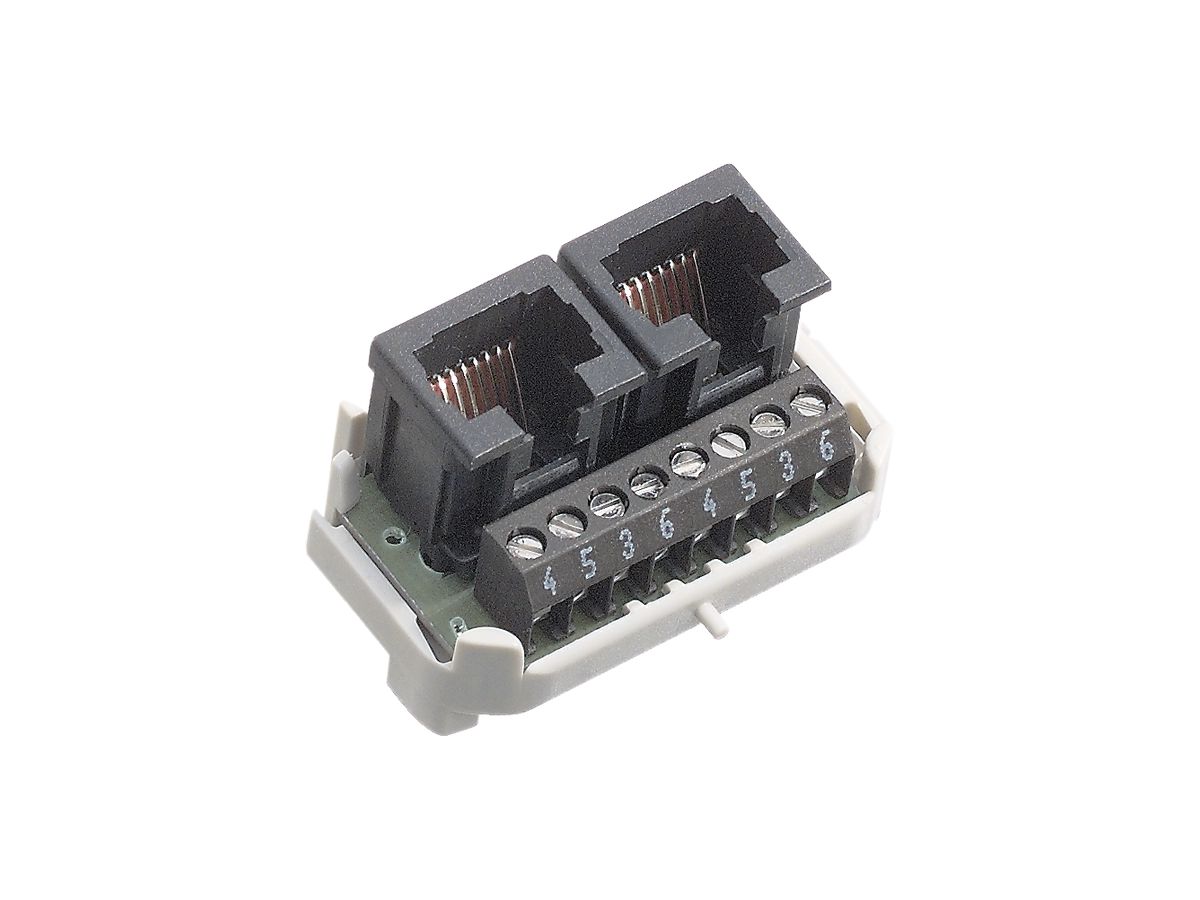 Einsatz Kat.5 R&M 2×RJ45/u 4P getrennt Schraubklemme swissline