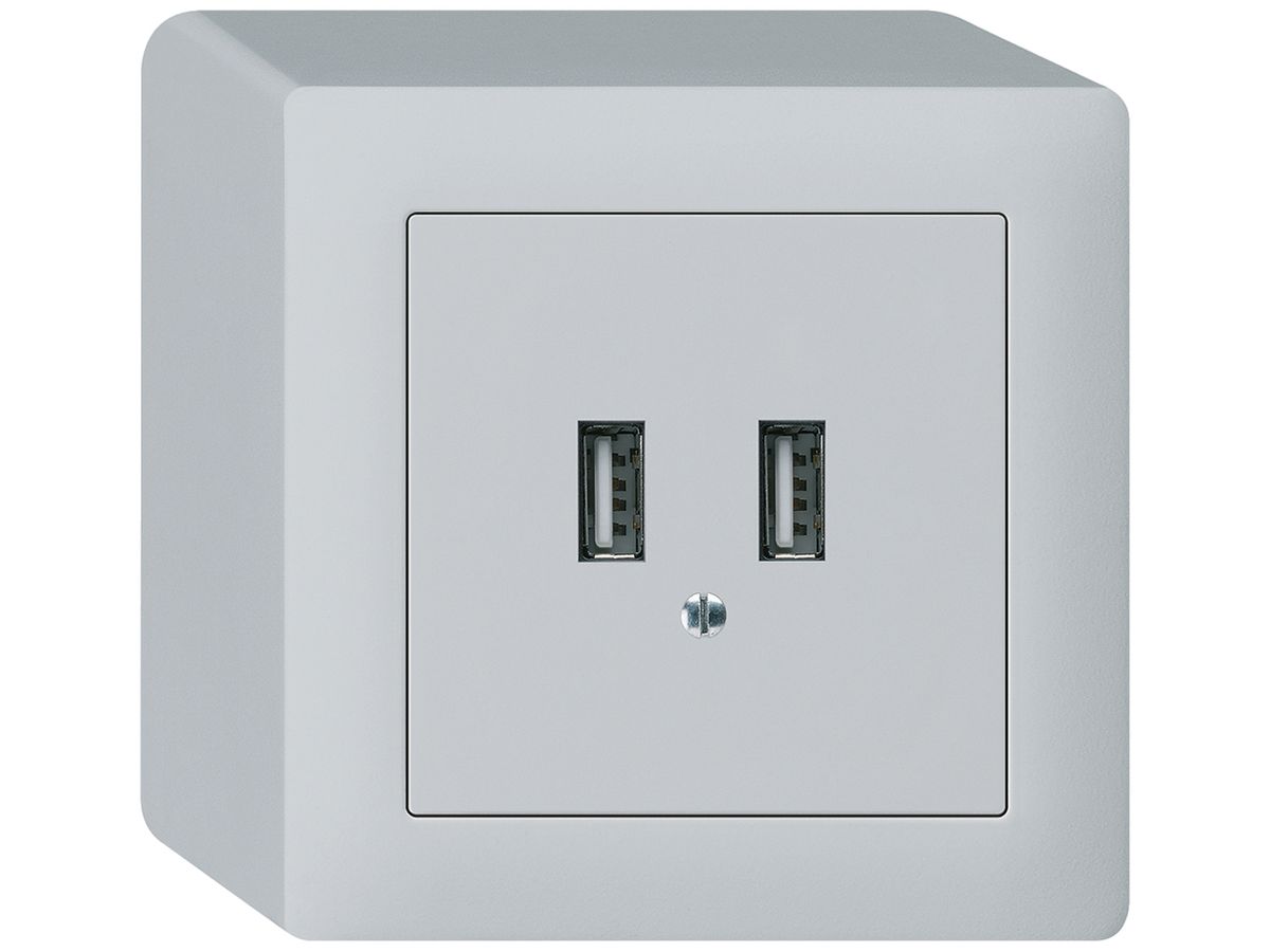 AP-USB-Ladesteckdose Hager kallysto 240V 2400mA hellgrau