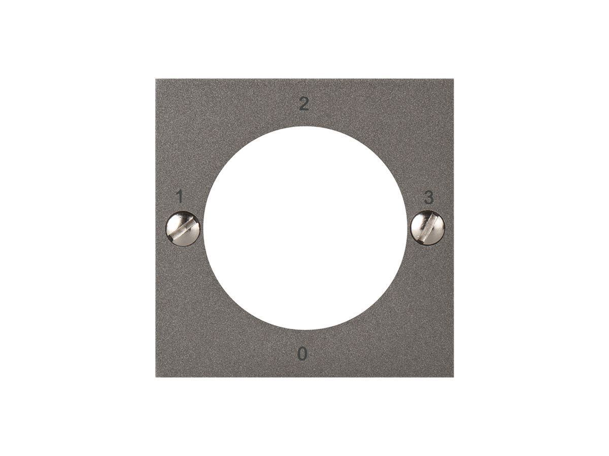 Frontplatte ATO für Schlüsselschalter 0-1-2-3 magnesium