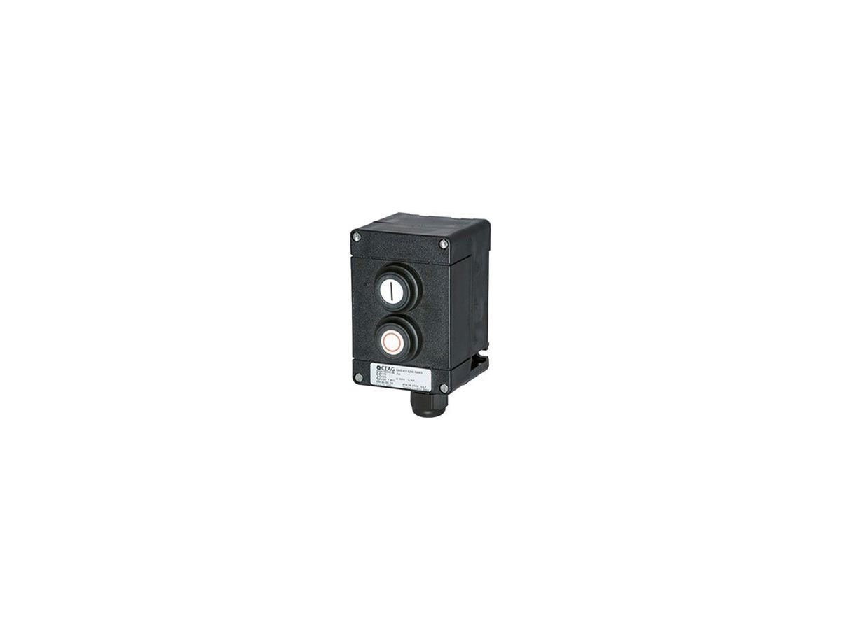 AP-Steuerkasten CEAG EEx 2×1S/1Ö