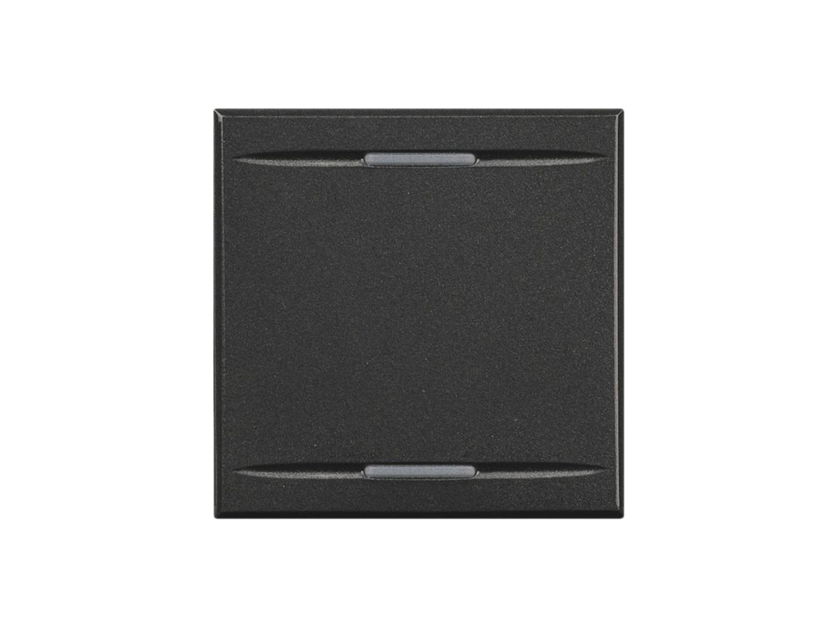 Wippe Axolute für 2 Module anthrazit ohne Symbol