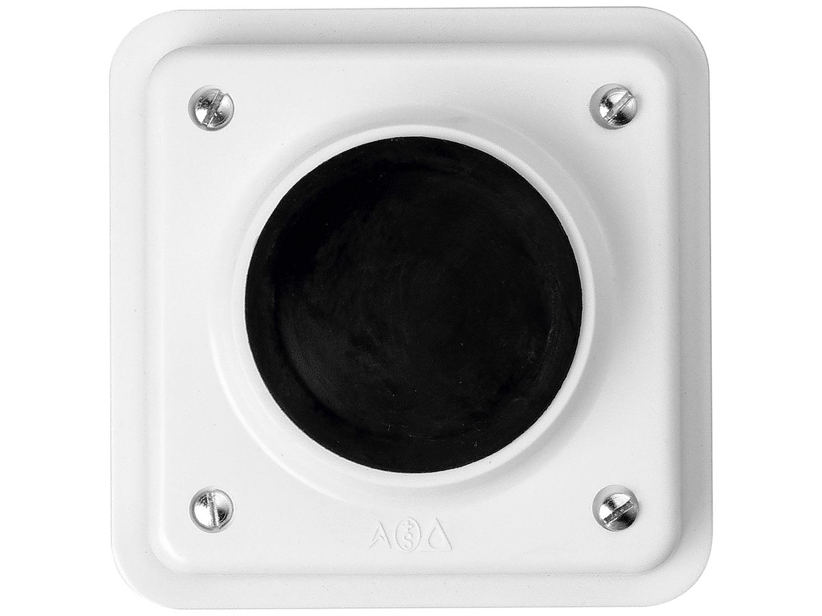 UP-Drucktaster Electro-Mica 1S 10A/250VAC IP54 weiss