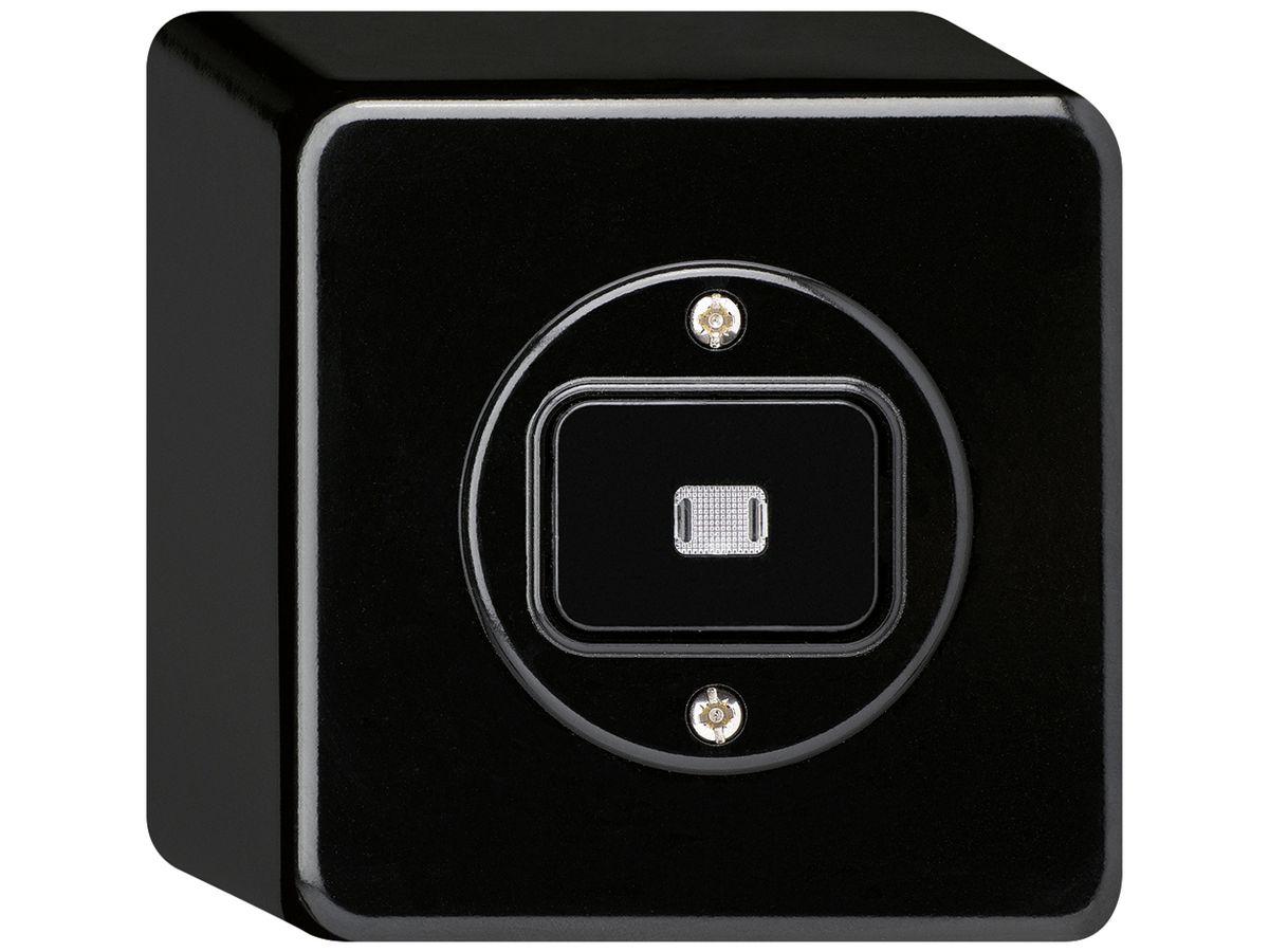 AP-Leuchtdrucktaster basico L-AR/2L schwarz