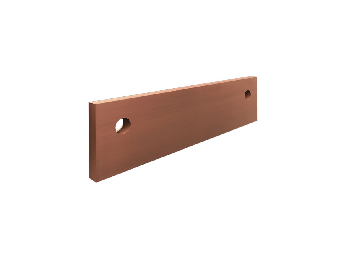 Schienenverbinder Rittal SV 9686.260 flach 195×55×10mm