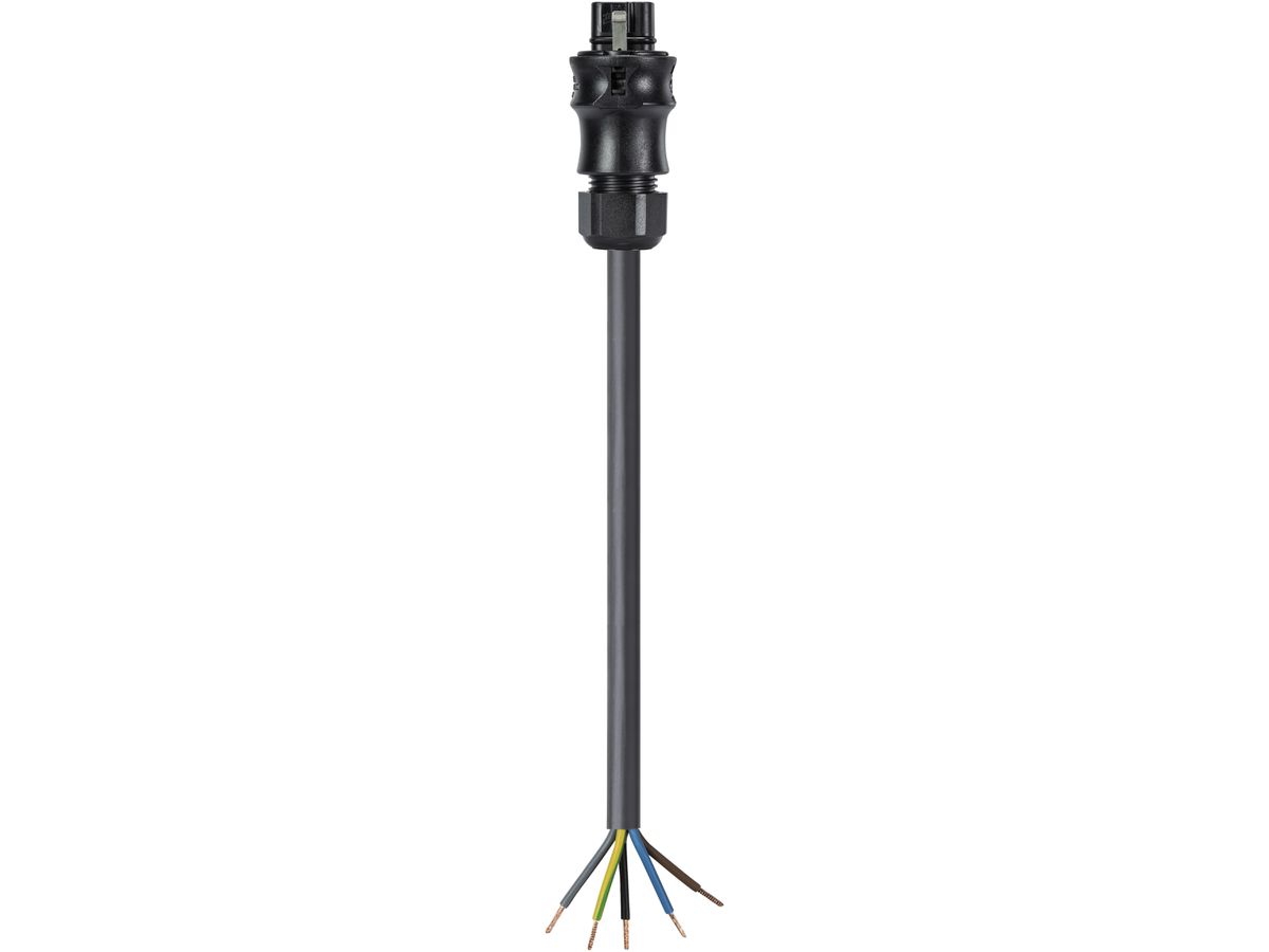 Anschlussleitung Wieland 2m 5L schwarz, freies Leitungsende-Stecker, 1.5mm²