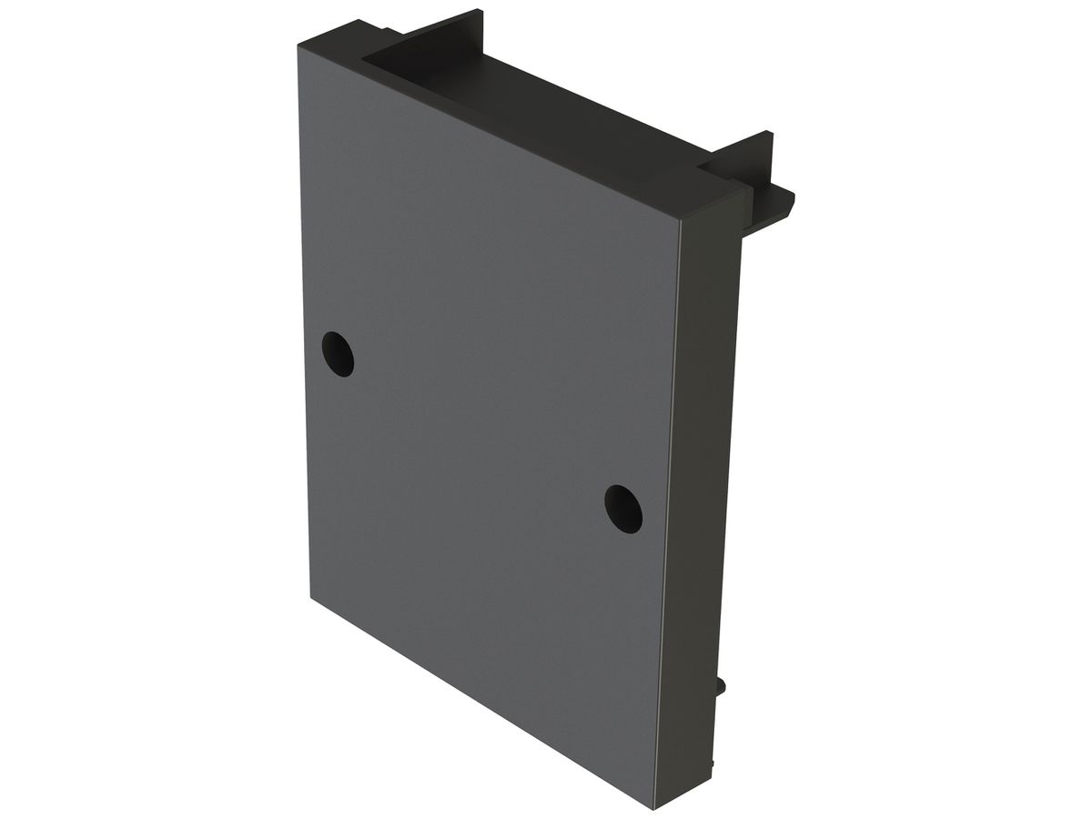 Endkappe DOTLUX CONNECT 74×58×9mm schwarz